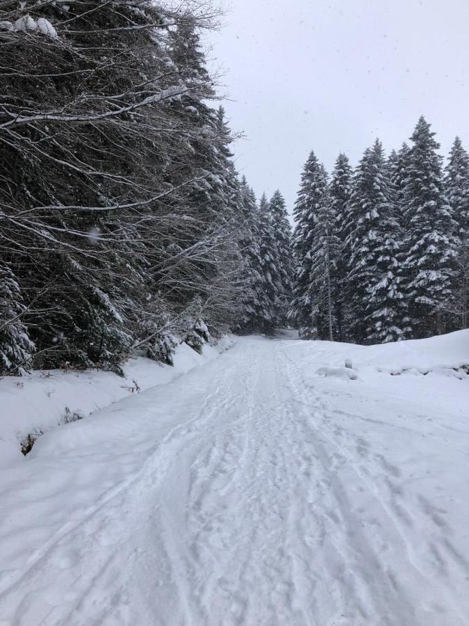 Studio Fondue Chocolat, 100M Des Pistes Wifi Fibre, Parking Prive Bernex Exterior foto
