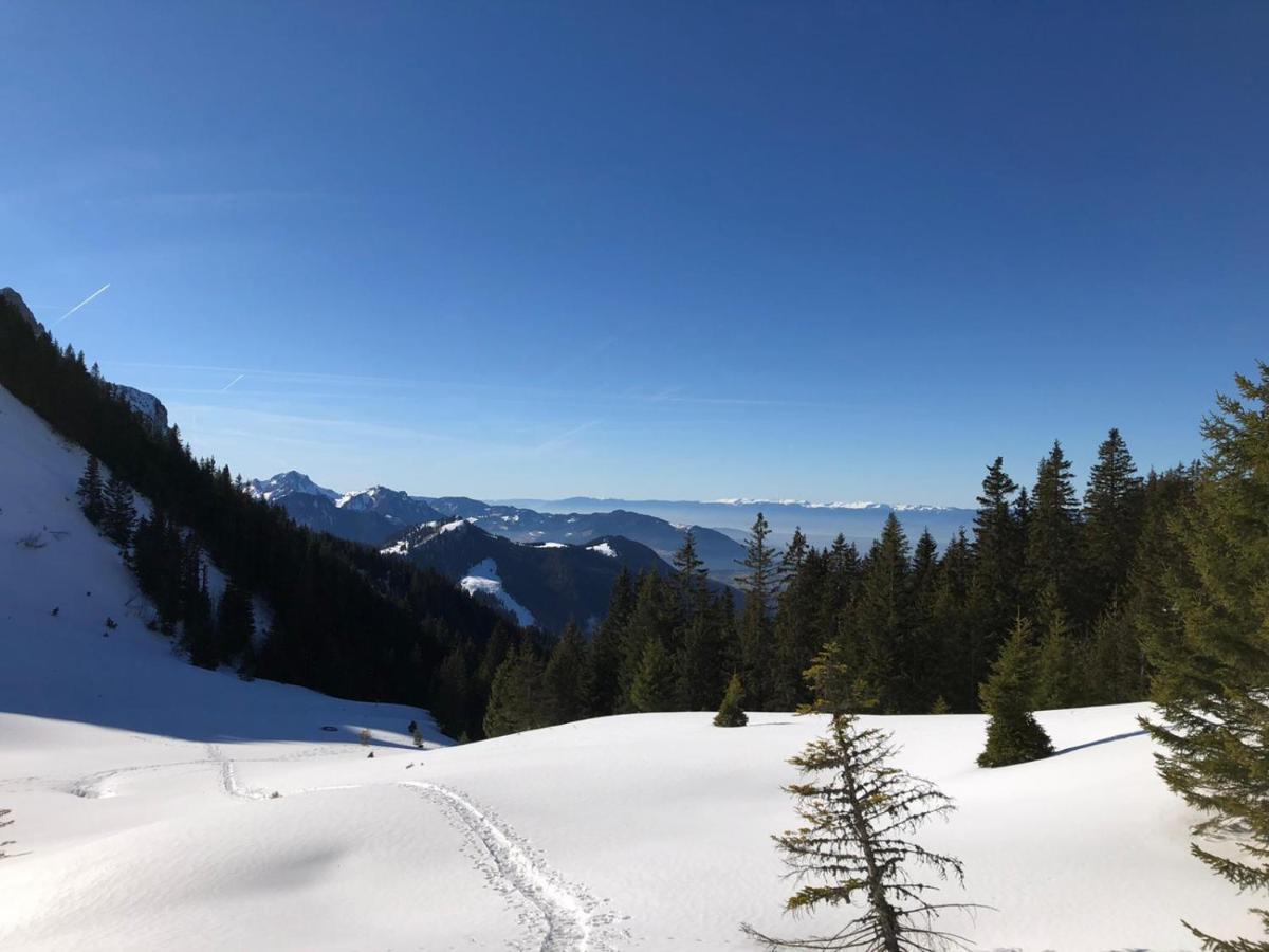 Studio Fondue Chocolat, 100M Des Pistes Wifi Fibre, Parking Prive Bernex Exterior foto
